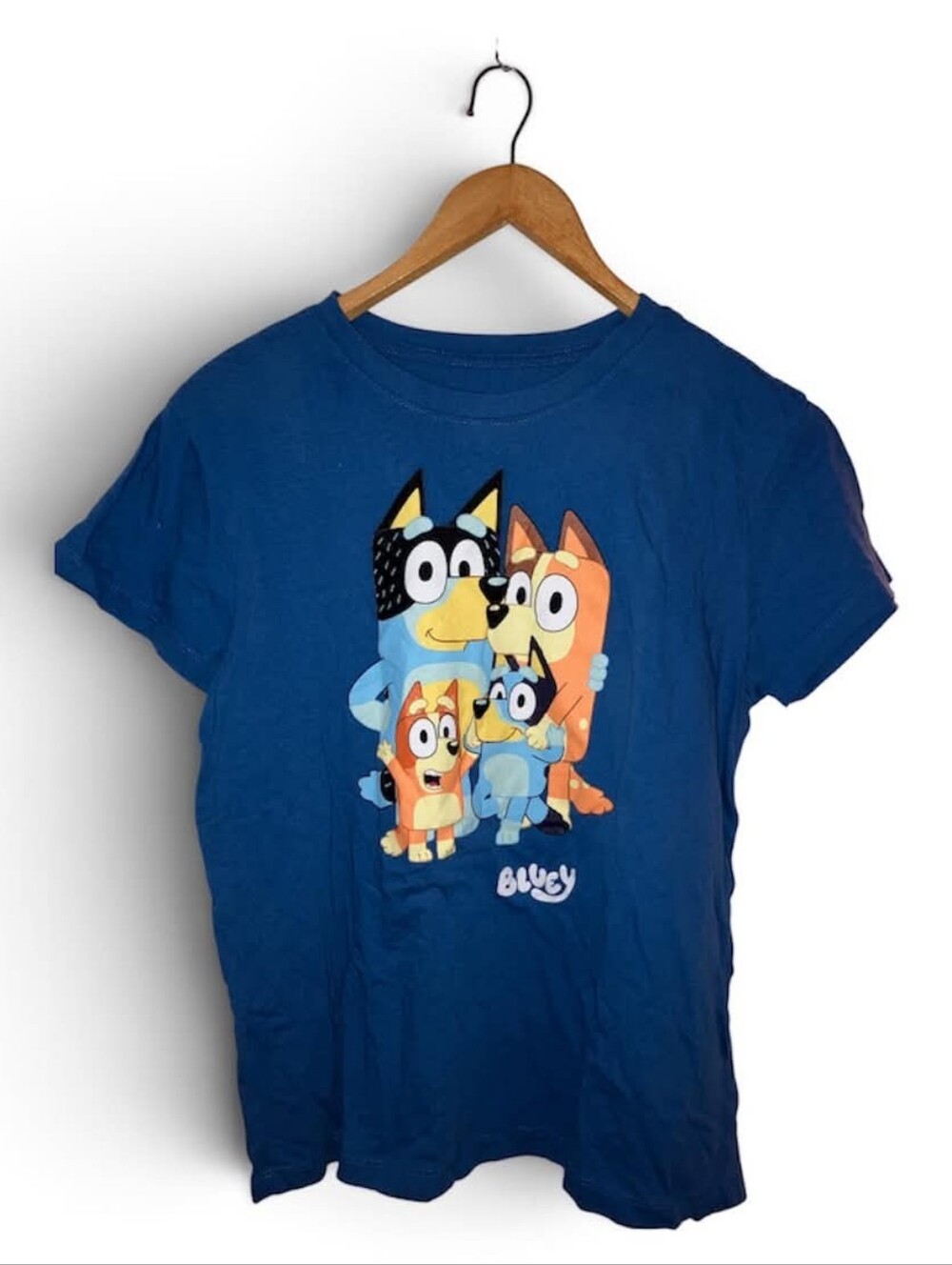 Bluey Family Graphic Tee - Blue